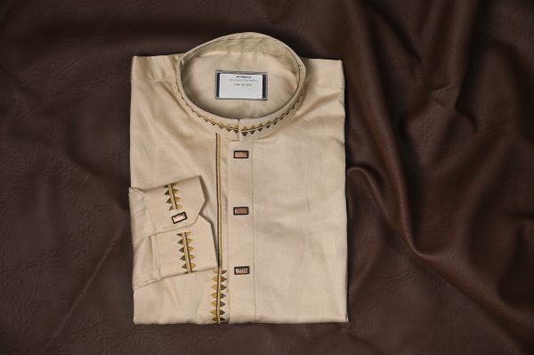 Platinum Panjabi - Image 2